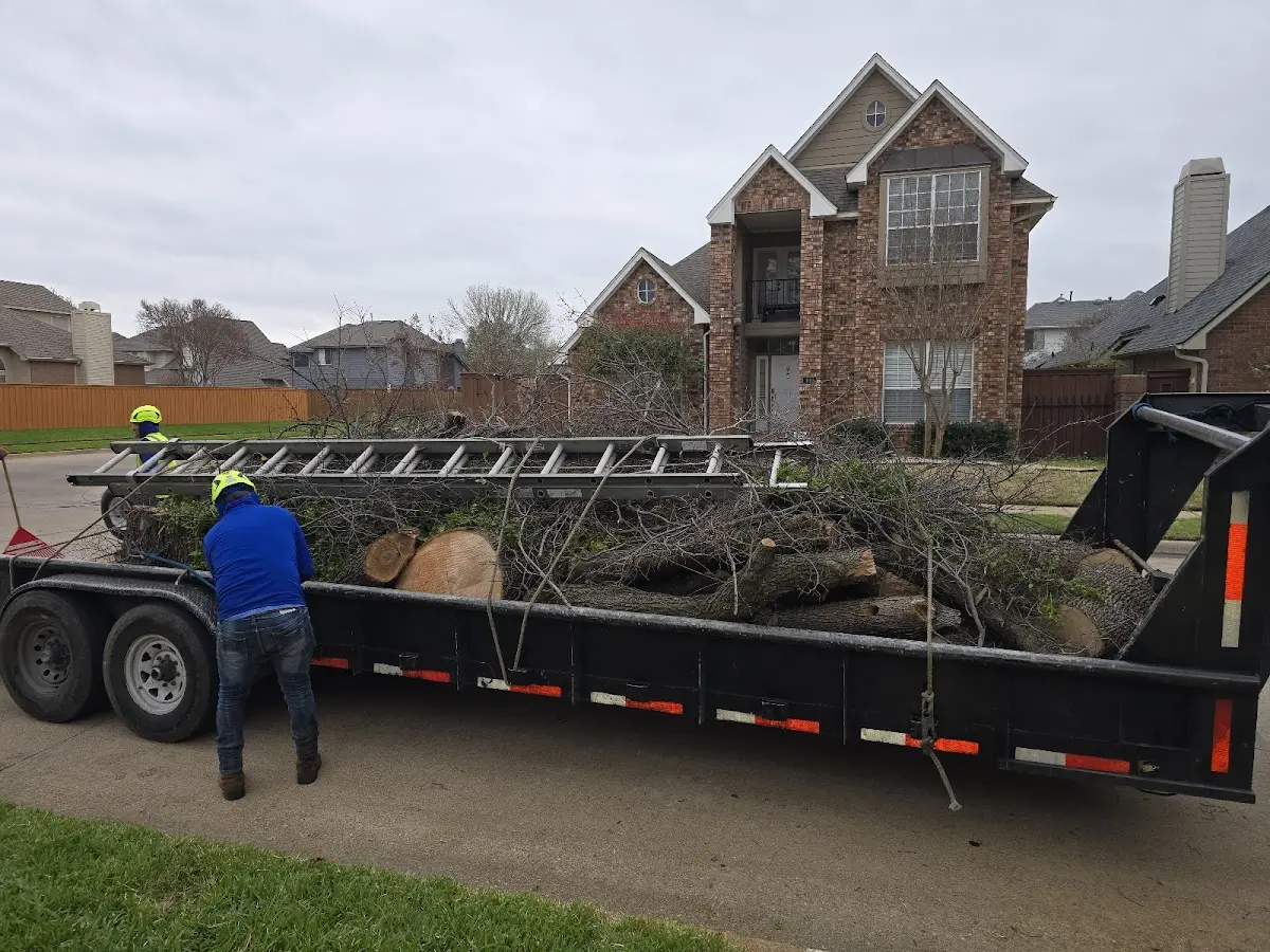 Expert Crown Reduction with proper safety equipment in Township Of Washington